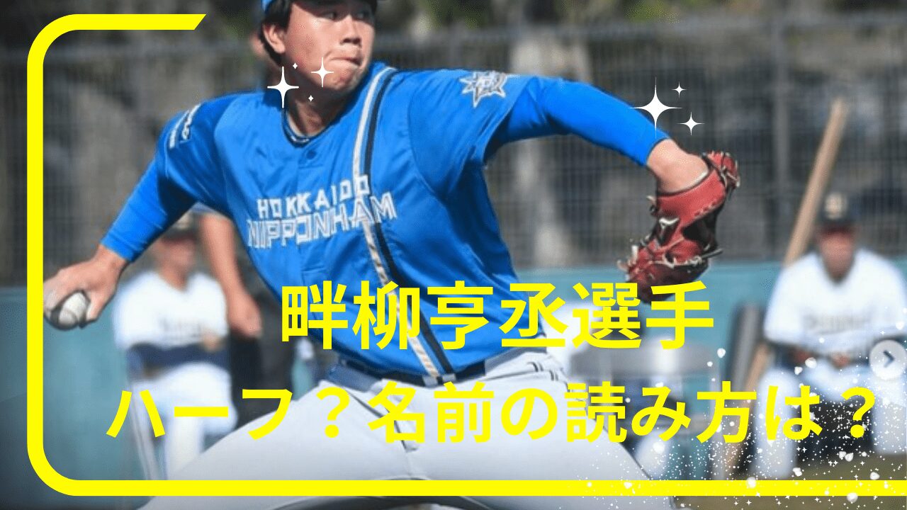 畔柳亨丞選手ハーフ，畔柳亨丞選手読めない